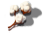 cotton